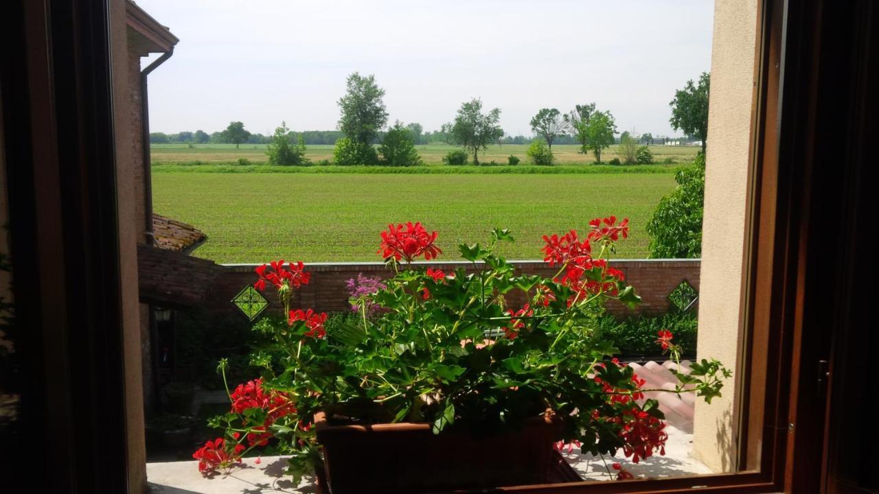 Pensjonat Carrobbio Bed&Breakfast Cremona Zewnętrze zdjęcie