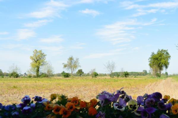 Pensjonat Carrobbio Bed&Breakfast Cremona Zewnętrze zdjęcie
