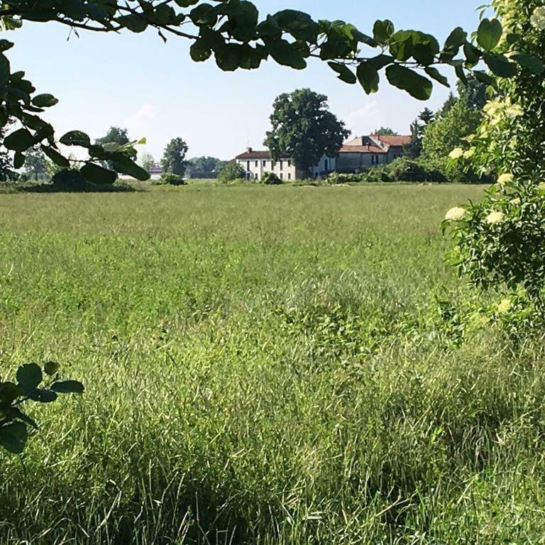 Pensjonat Carrobbio Bed&Breakfast Cremona Zewnętrze zdjęcie